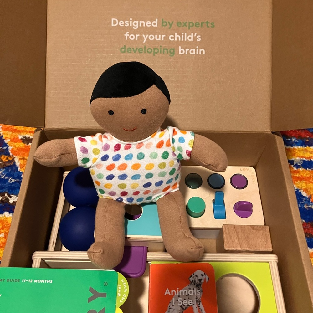 Lovevery Box “The Thinker” 11-12 months